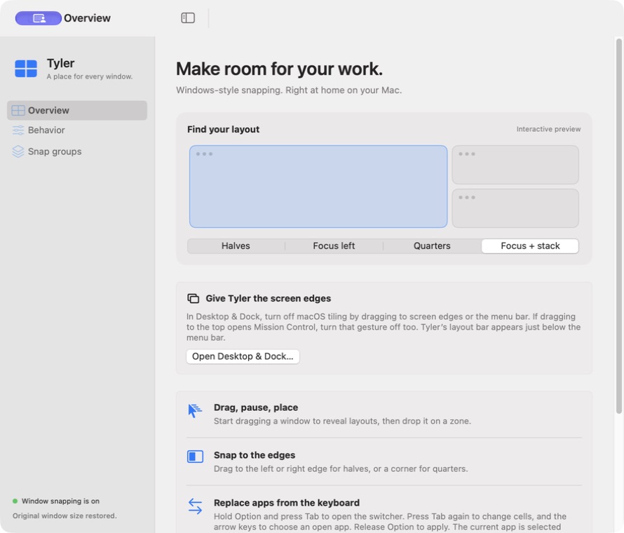 Tyler window management interface